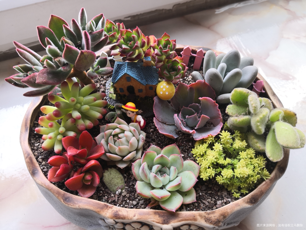 我今天下午的杰作,为了迎接新的生命到来