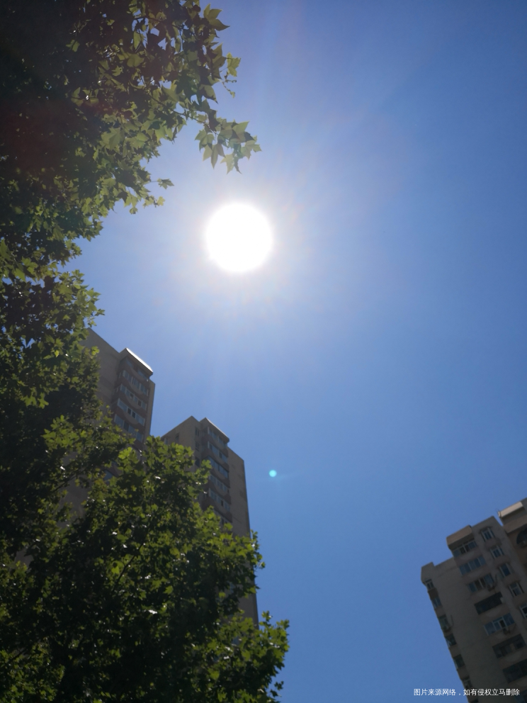 烈日之下,我真的就差一把孜然了