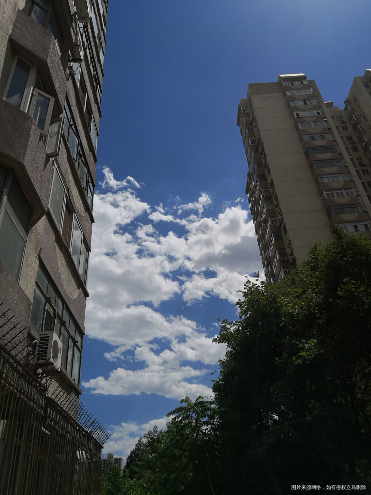 这天儿蓝的跟假的似的了,白云☁白的跟棉花一样!