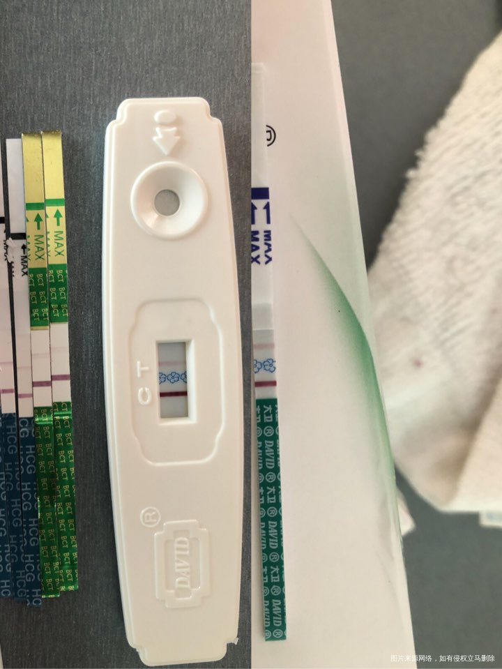 9月1日移植两枚冻宝宝,现在什么情况