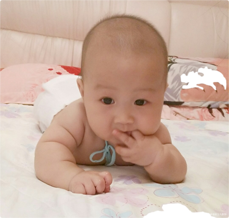 【我生啦】终于等到你♛我的三宝宝