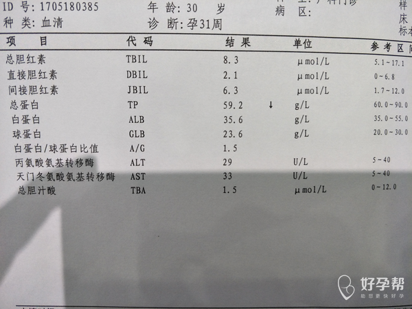 肝功能检查总蛋白偏低需要注意什么