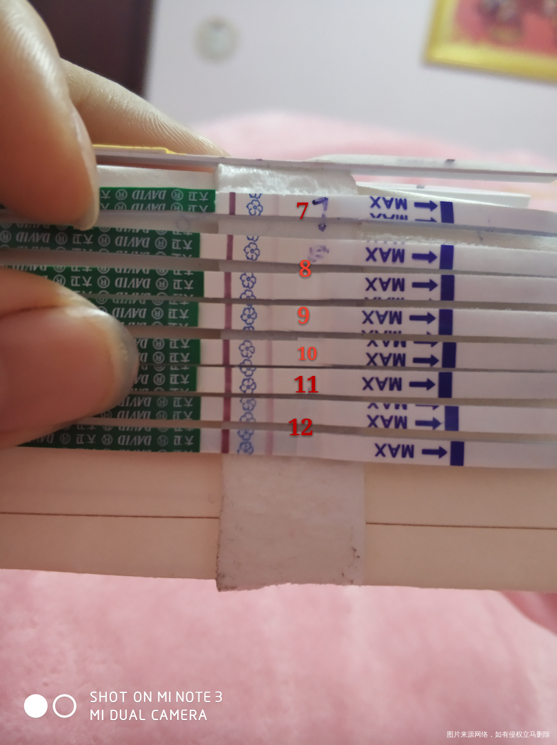 如图,今天是第十二天,试纸三天没加深了