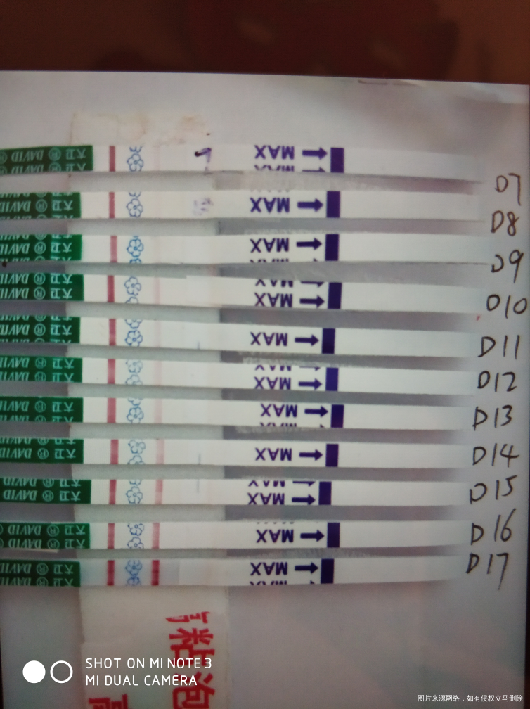 今天17天喽,亲们看看是不是强阳了呢