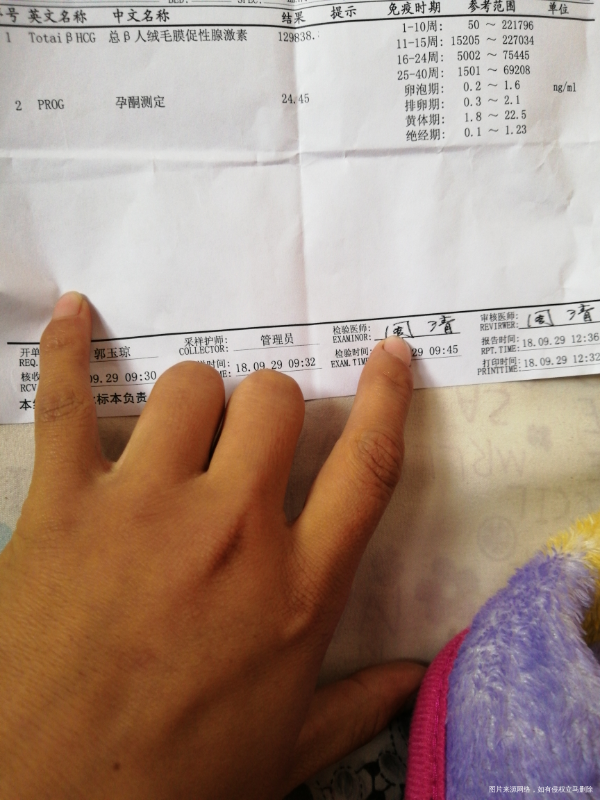 孕8周,医生帮我看看,谢谢谢谢