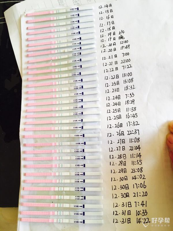这样是不是就排卵了,请姐妹们帮忙看一下.