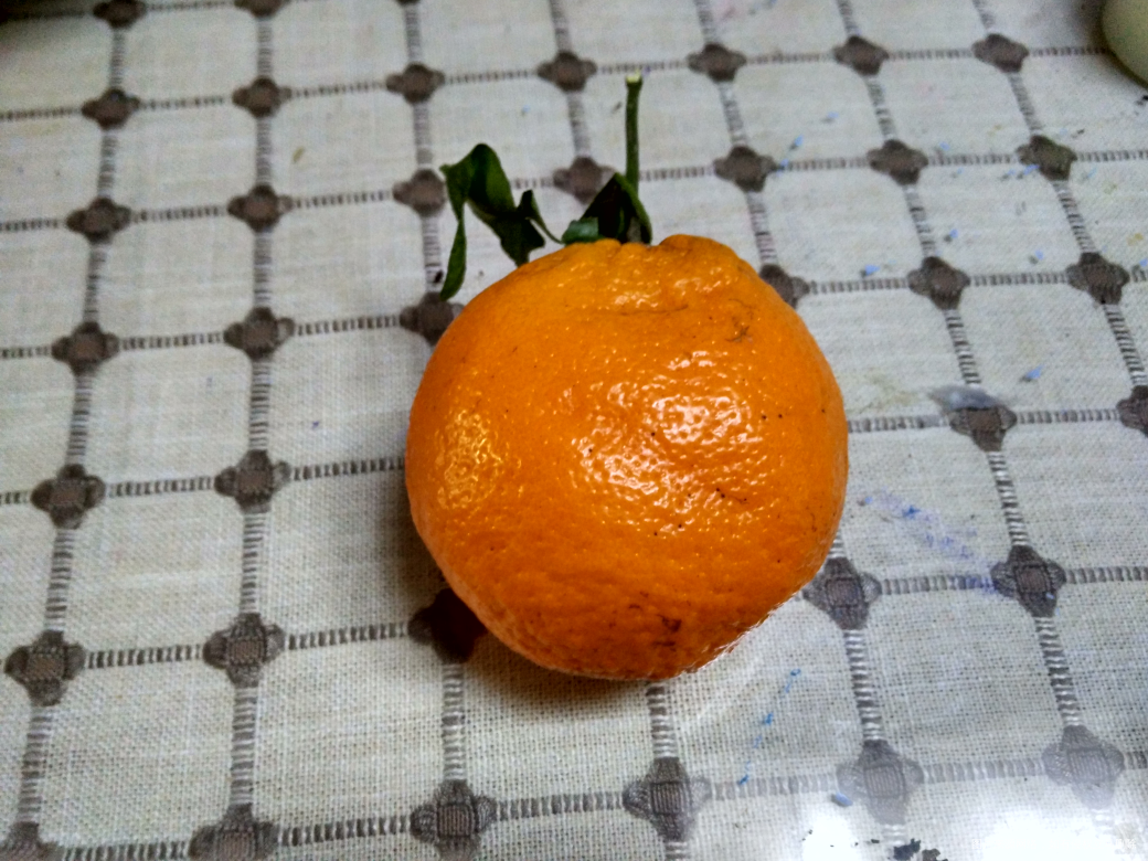 别看它不好看,但是味道很好