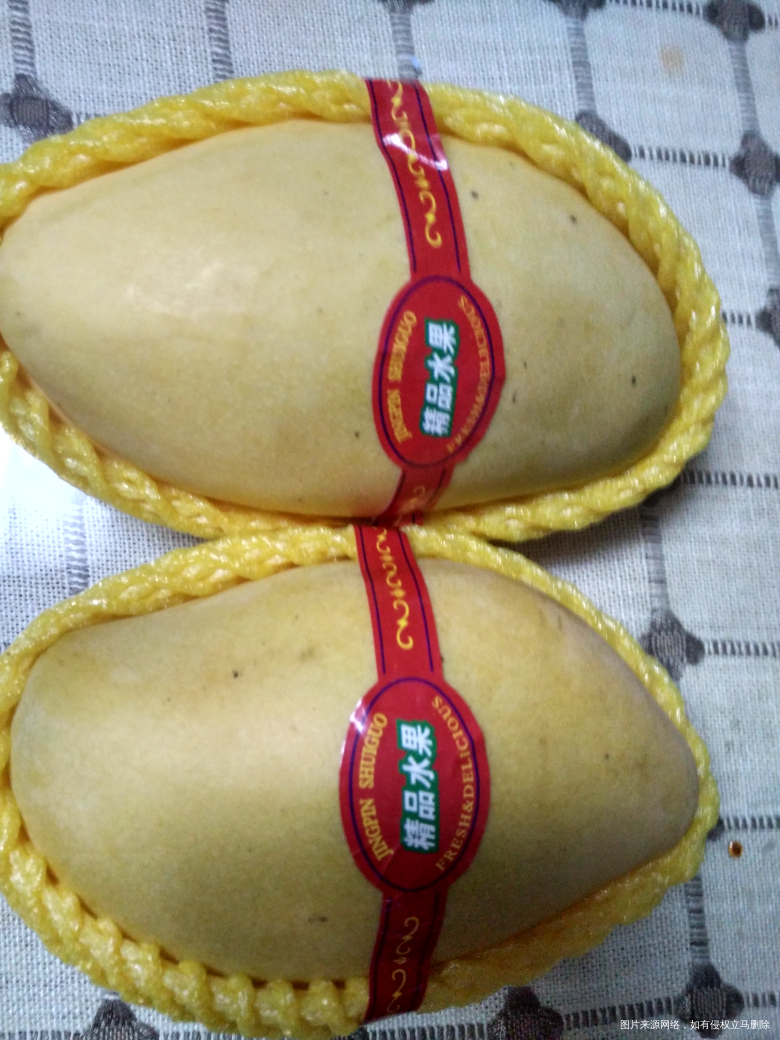 最近儿子迷上了大芒果