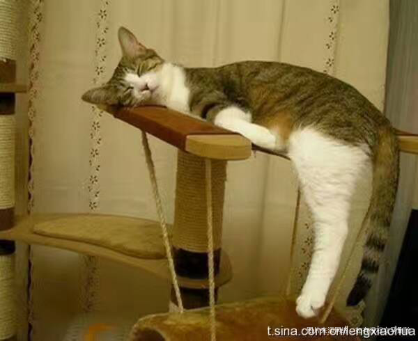 终于放假了,咋就没感觉呢😊