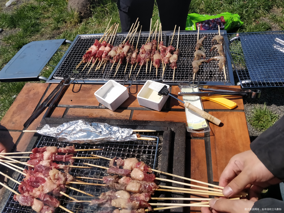 昨天踏青时搞的烧烤,好多肉