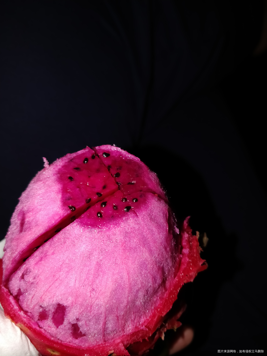 刚刚洗完澡,来一个火龙果