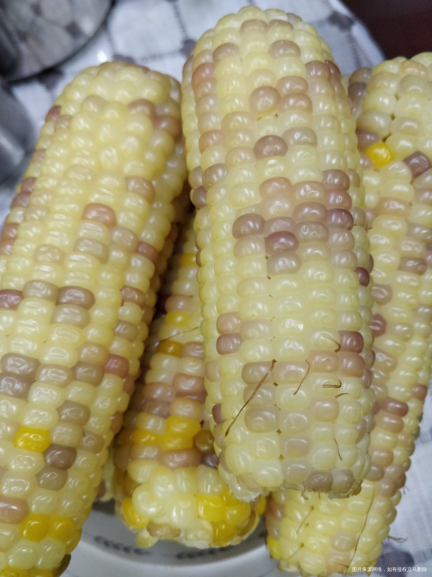 玉米玉米啃起来,哈哈😄