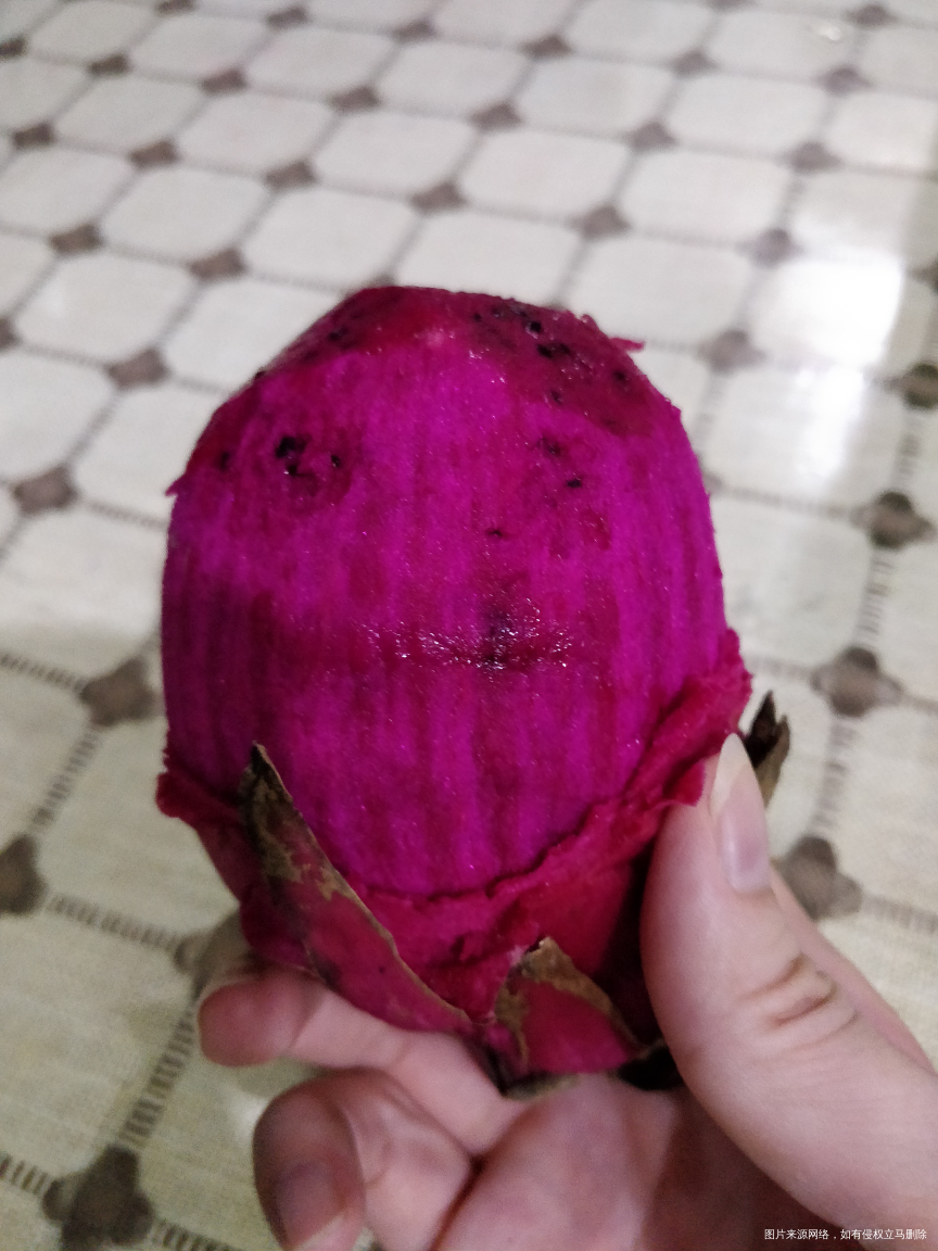 最后一个火龙果,把它消灭