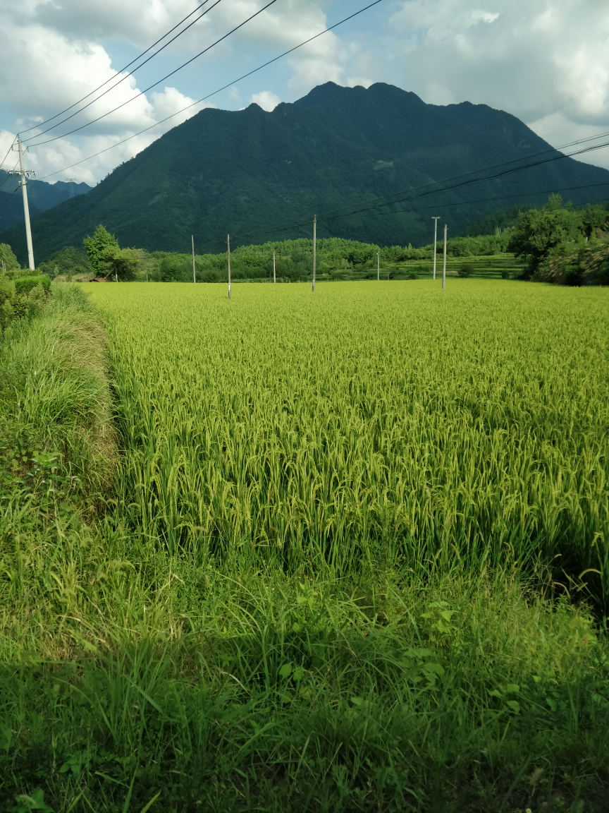 【家庭出游记】这里的山路十八弯