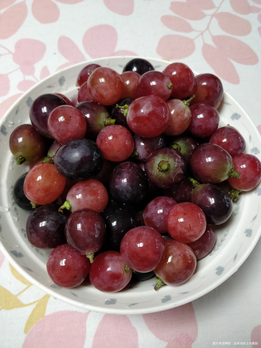 普通和提子一起吃起来哈😄