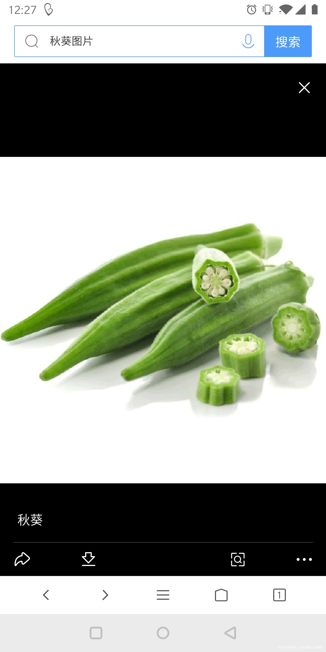 终于找到了一个不爱吃的蔬菜