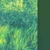 阳光-好孕帮用户