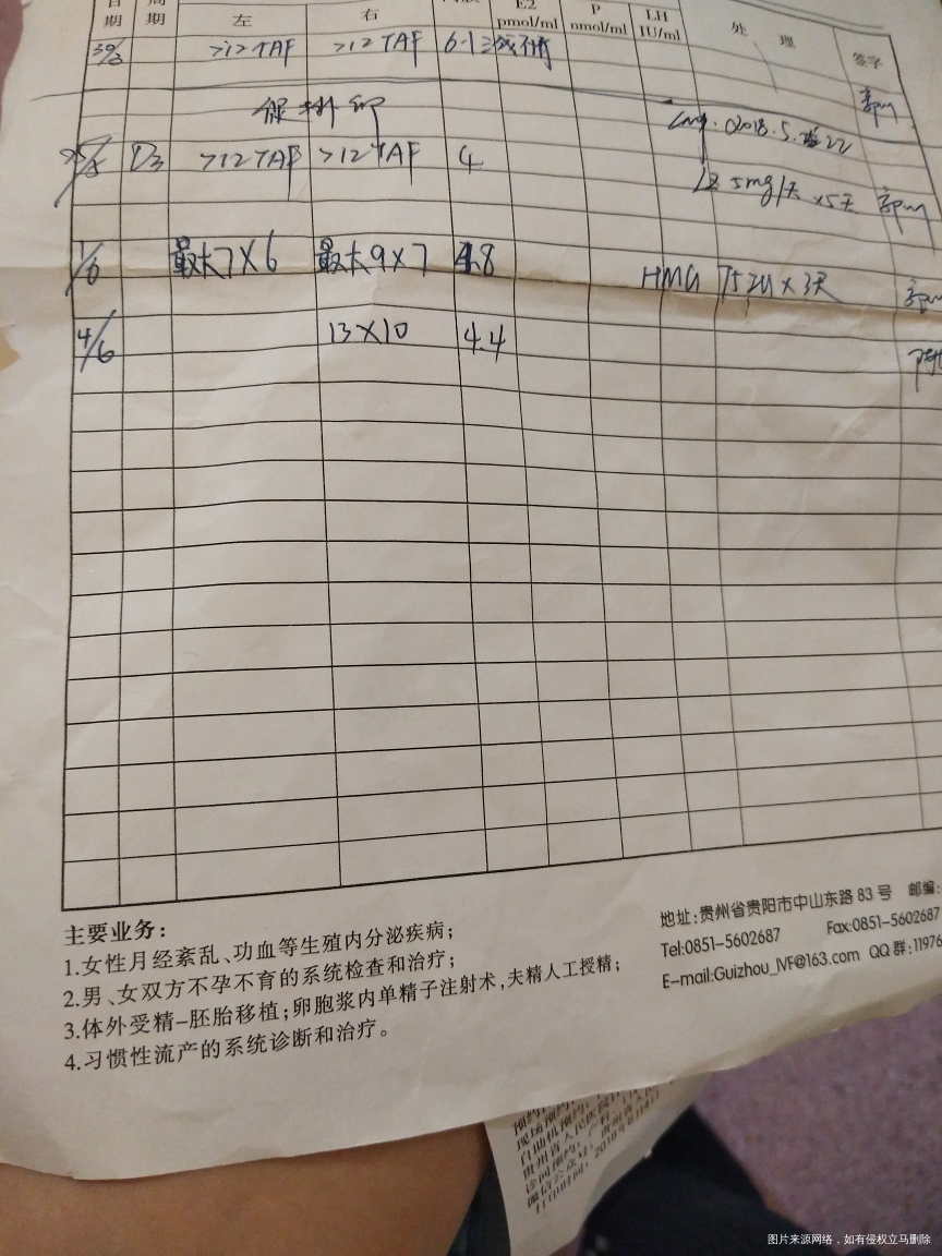 检测卵泡表示看不懂,求助医生