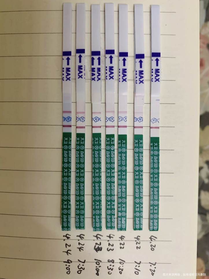 感恩!!卵巢早衰 amh0.12自怀