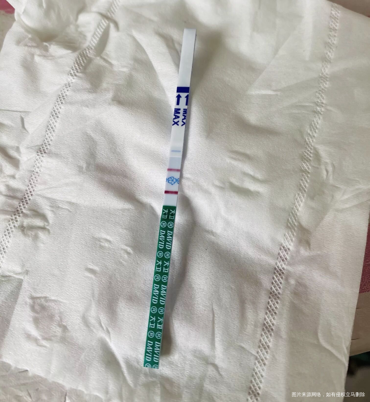 感恩!!卵巢早衰 amh0.12自怀