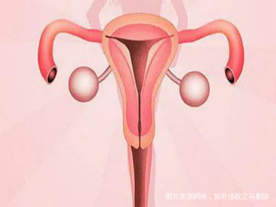 胎停育是多少人的隐痛