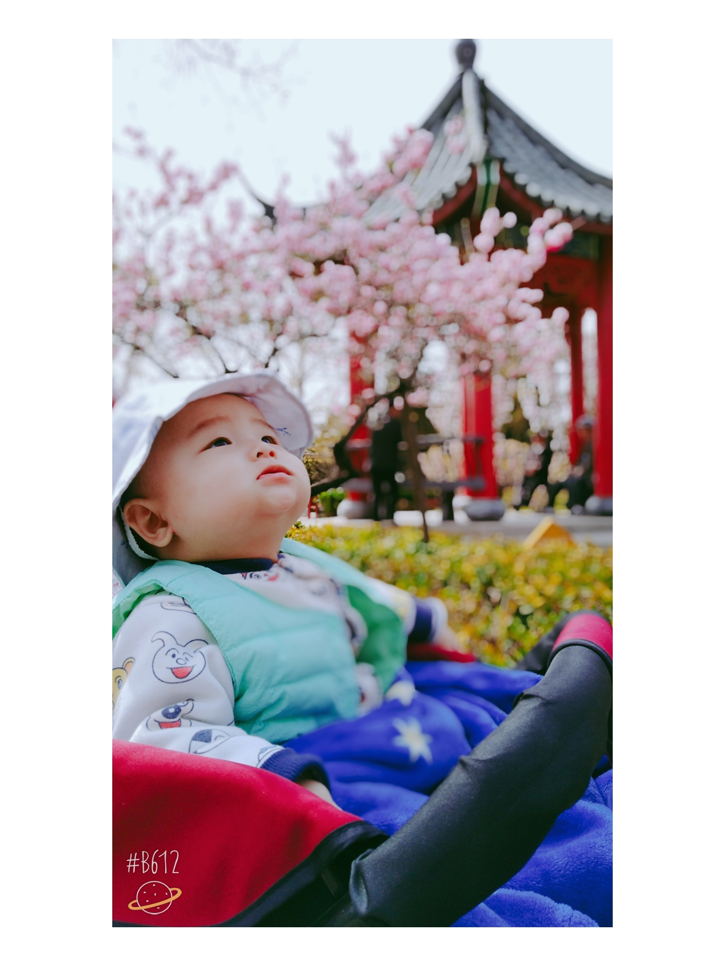 最近我拍的最好的一张最好的照片了