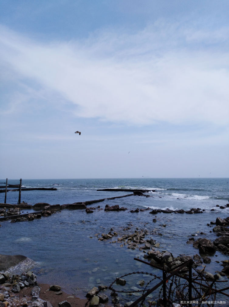 端午节海边度假村一日游喽