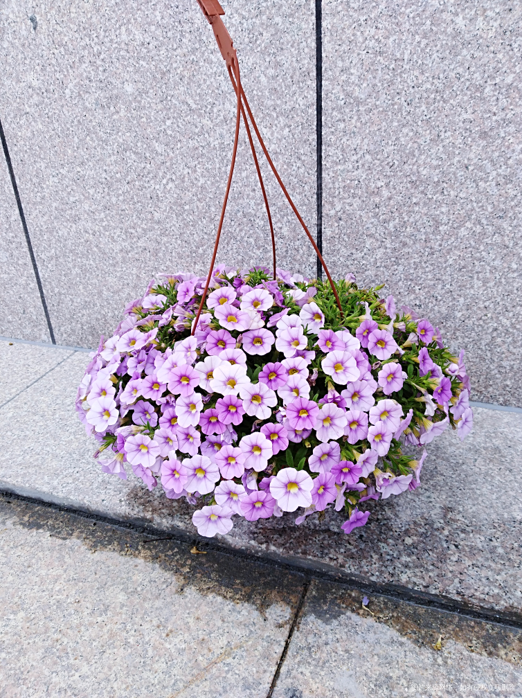 端午节海边度假村一日游喽