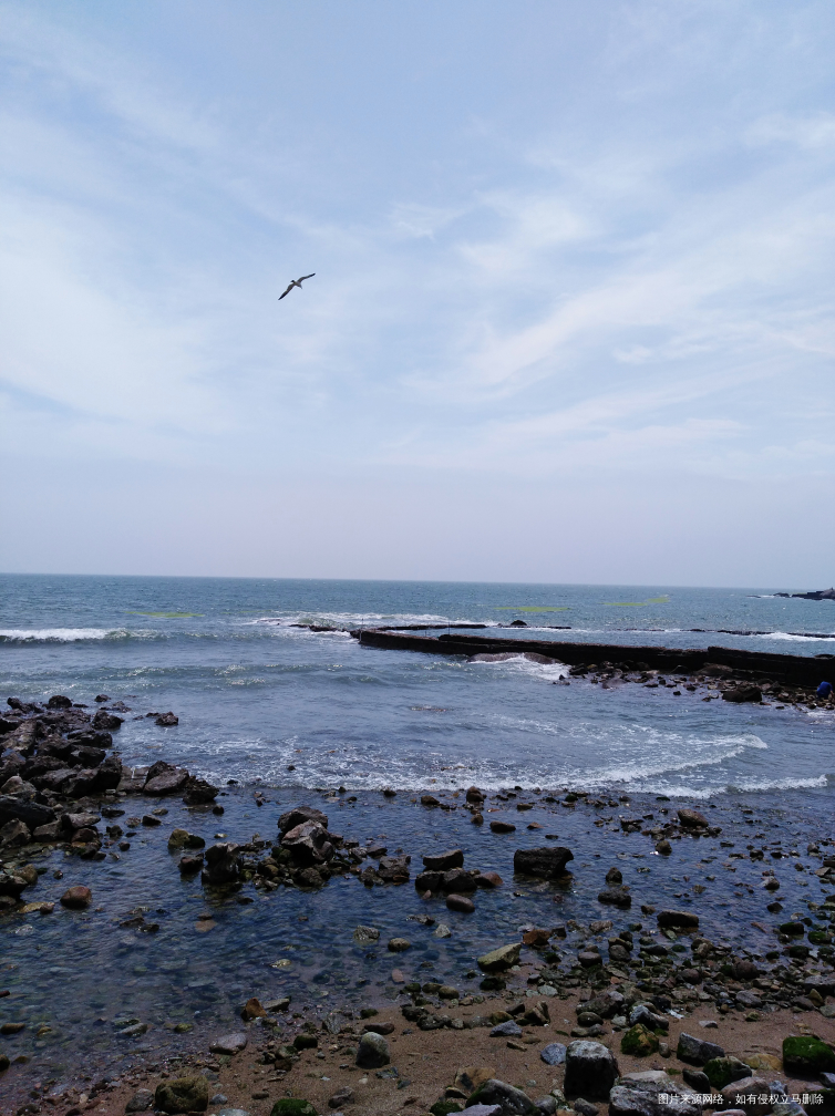 端午节海边度假村一日游喽
