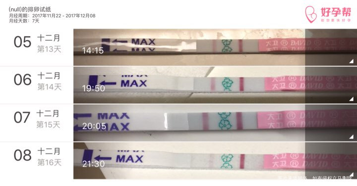 看来昨天真的是排卵 😄