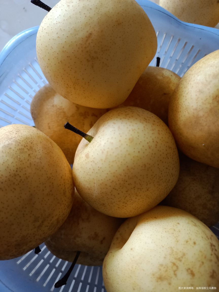 回家来瓜果蔬菜什么都不缺