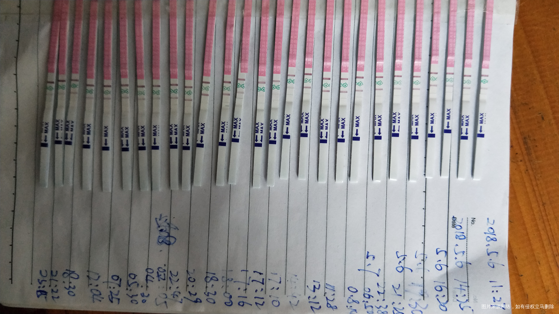 备孕,这样男宝机率大吗?