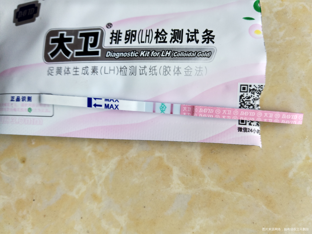 排卵后的第十一天,希望好孕