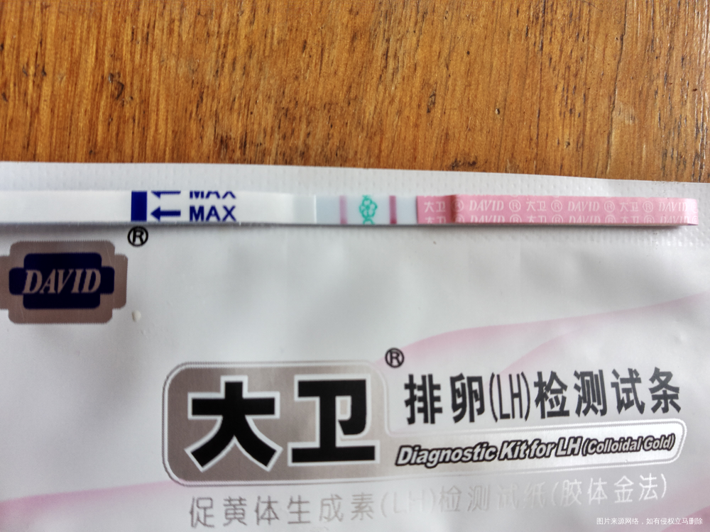 排卵后的第十一天,希望好孕