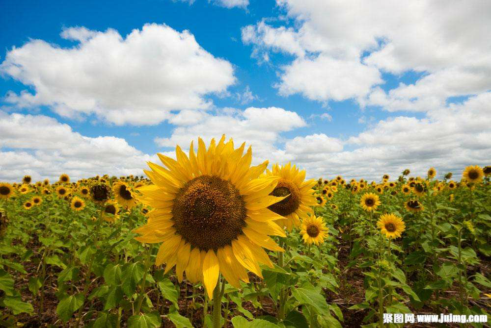 【生活感悟】――相濡以沫一辈子!