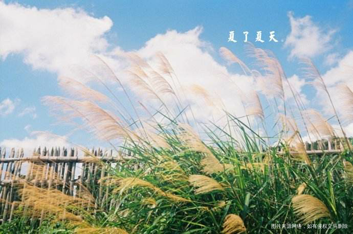 【生活感悟】――相濡以沫一辈子!