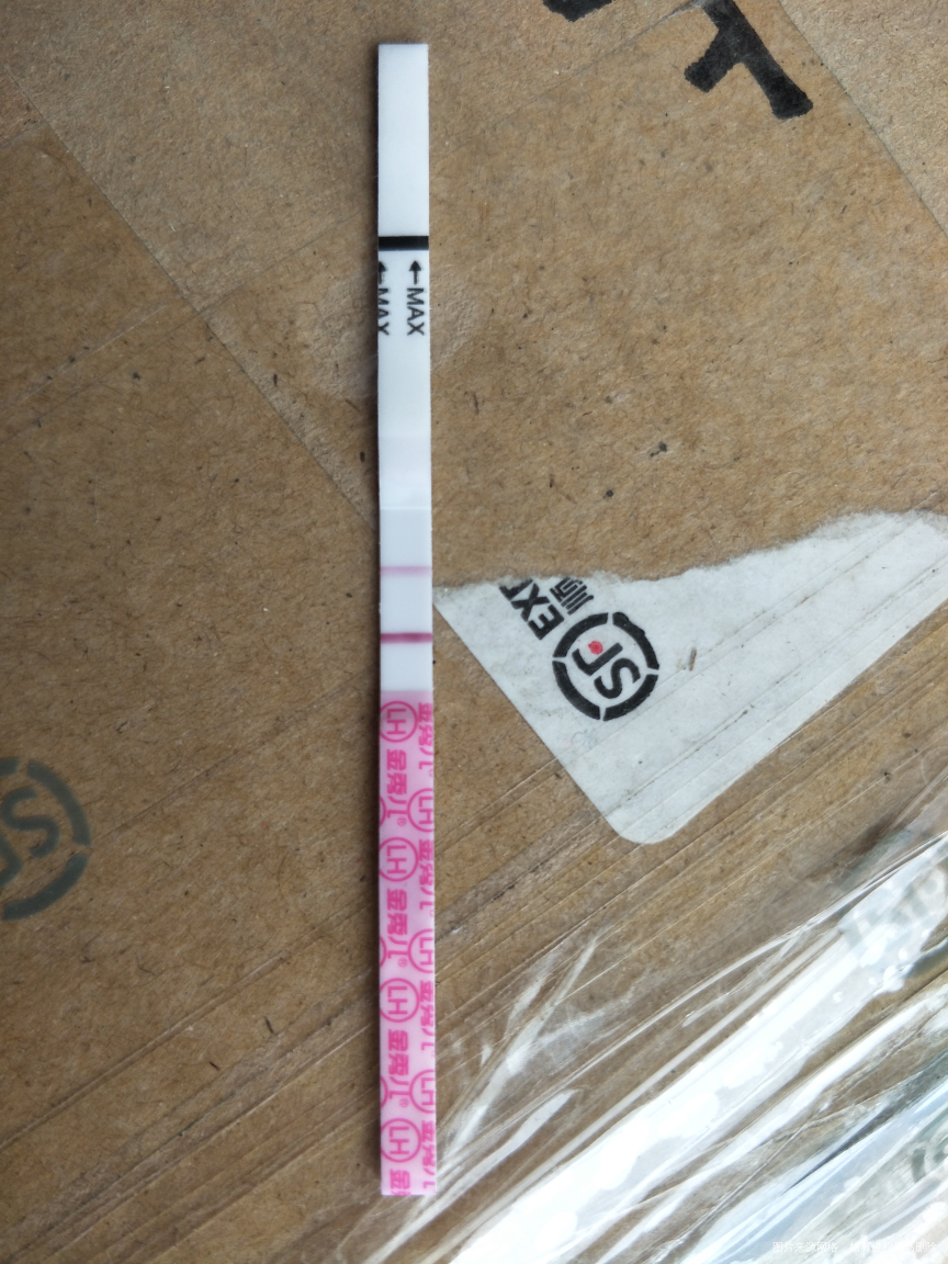 月经第十五天,周期28天预计今天排卵的