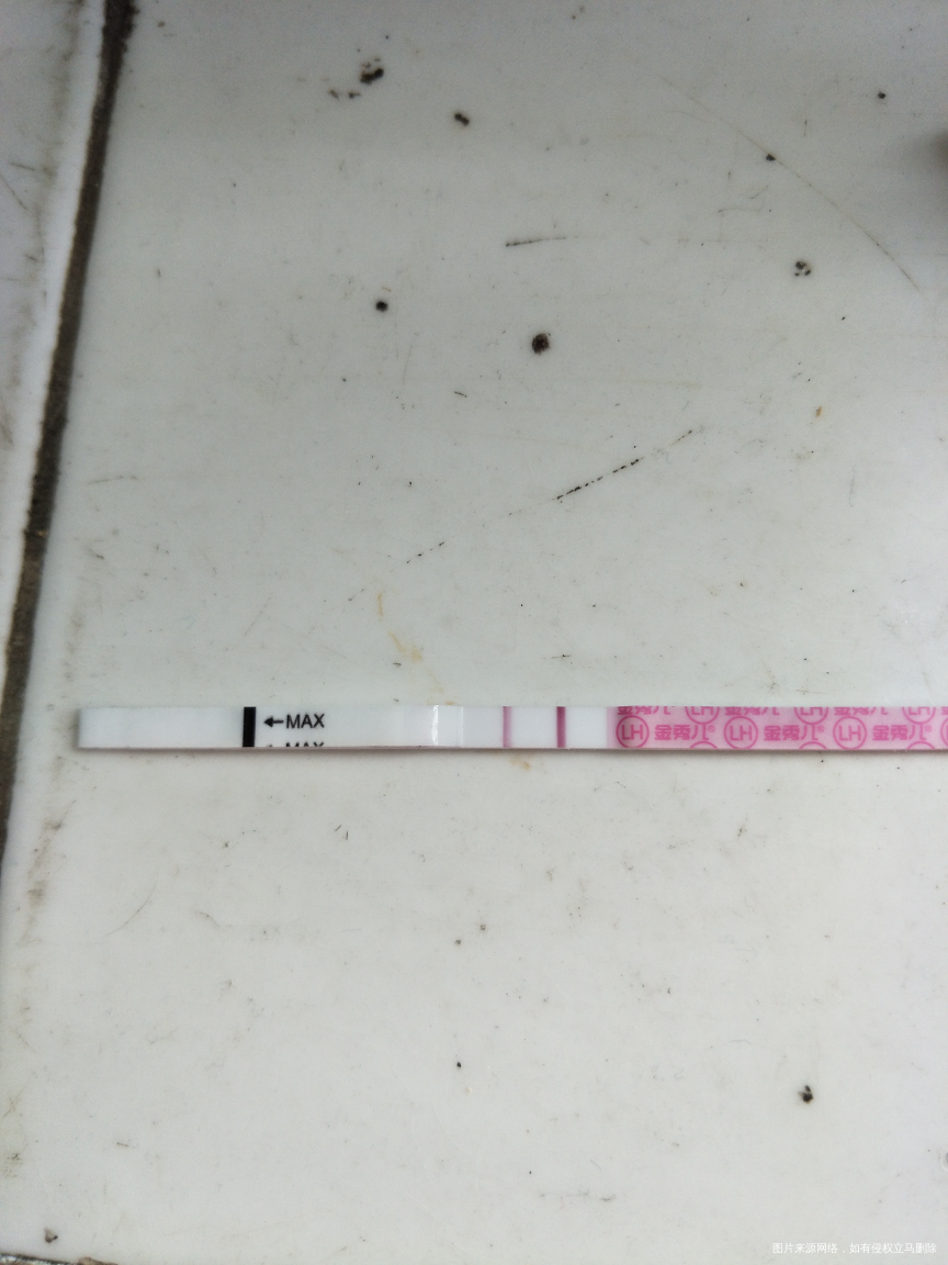 月经第十五天,周期28天预计今天排卵的