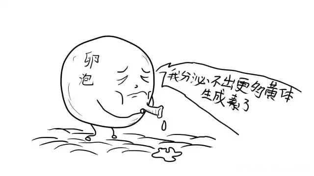 【知识库】黄体功能不全,我还能怀孕吗?