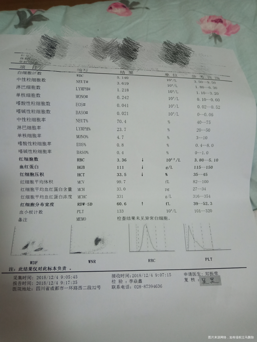 今天做的检查,麻烦医生帮忙看看
