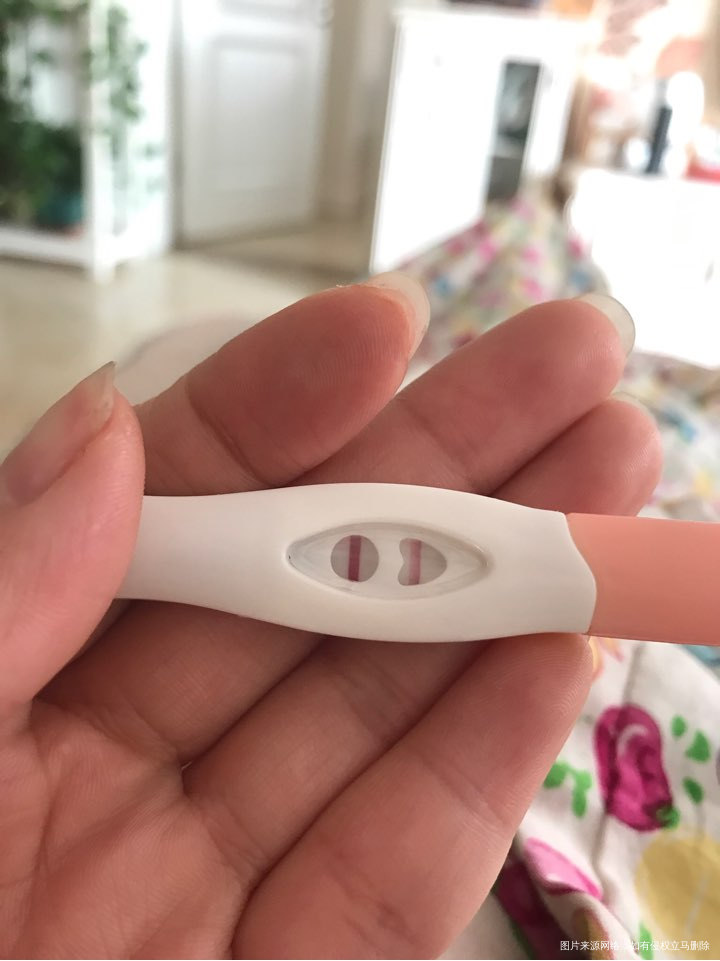 移植第十二天,已经很显了,明天去抽血,希望血值一定棒棒哒