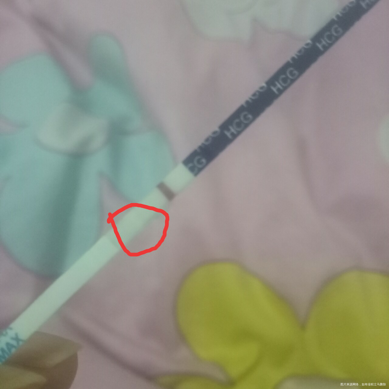 奶奶灰的出现,我蒙了呢