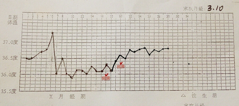 体温这样有希望怀孕吗?