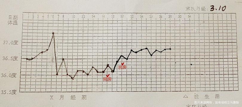 这个体温有戏吗?求助姐妹们