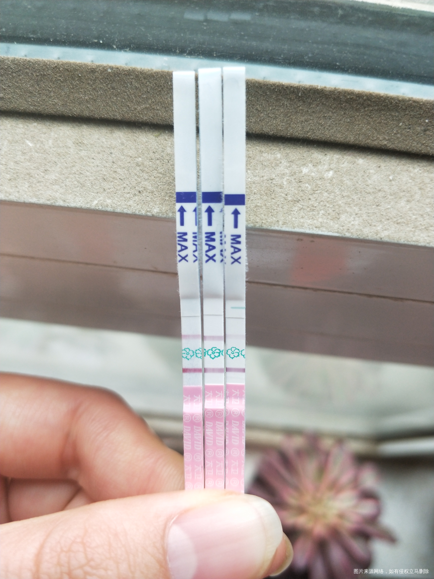 排卵试纸测的怀孕几率多大