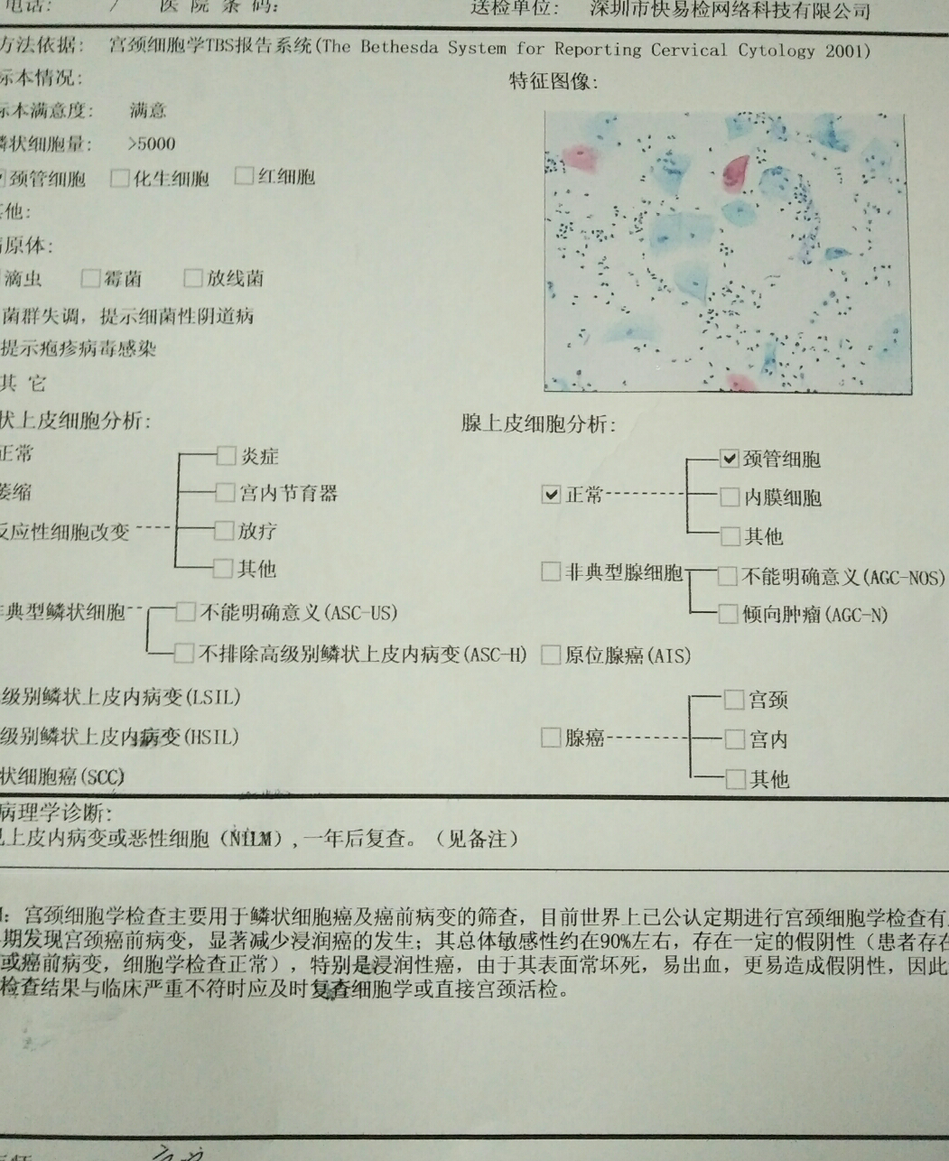 83元                  衣原体\支原体