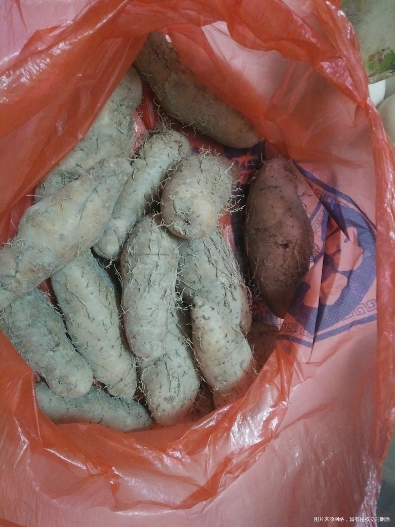 【11.10】婆婆托别人给我带上来的鸡蛋跟甜薯