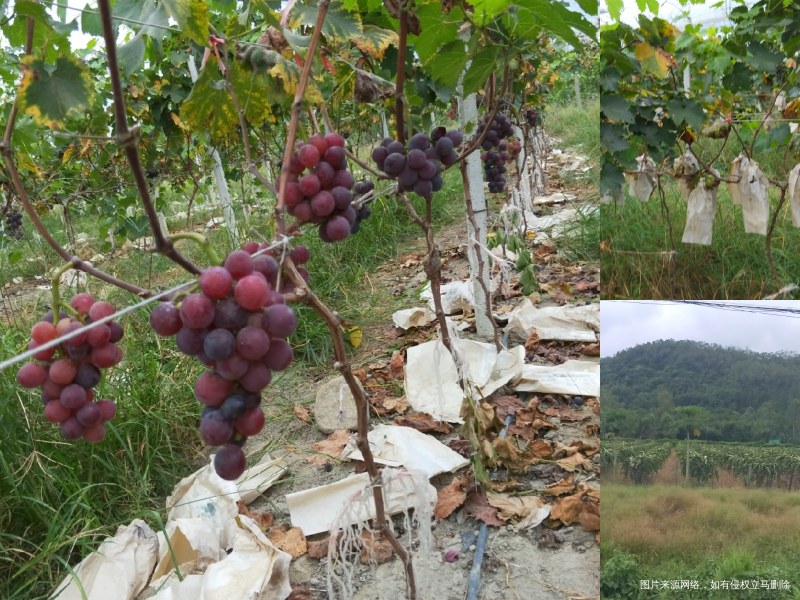 #2018#我们的快乐时光