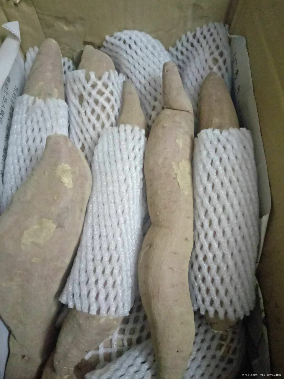 【9.10.】给朋友买的板栗红薯挺好的