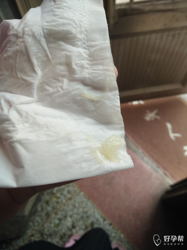 状-好孕妈妈论坛-好孕帮